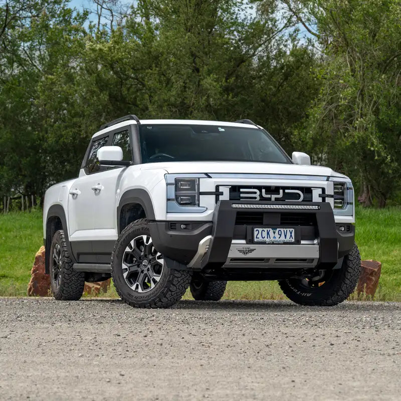 Ultimate9 "Ultimate" Nudge Bar w/ 30 Inch LED Light Bar (BYD Shark 6)