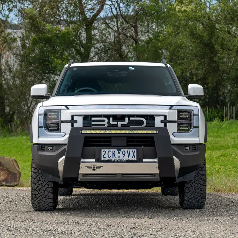 Ultimate9 "Ultimate" Nudge Bar w/ 30 Inch LED Light Bar (BYD Shark 6)